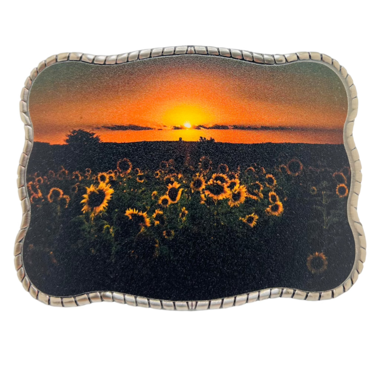 Sunflowers field sunset ￼