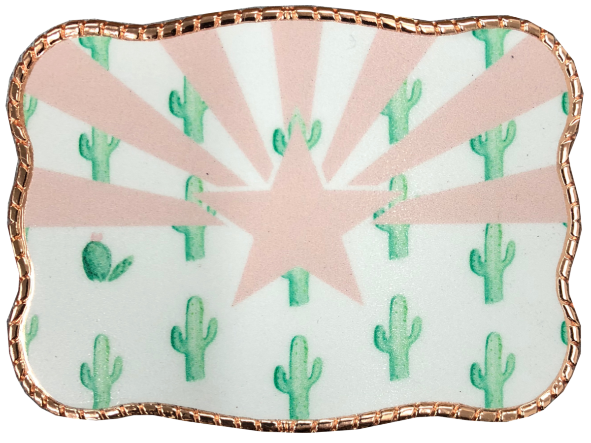 Arizona Cactus Flag